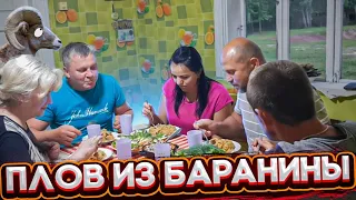 За один день одного барана съели , одного постригли и один родился . Уход за животными в выходные