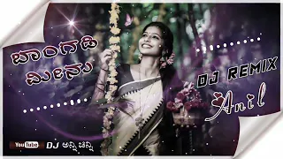 Bangadi Meenu  DJ ANIL REMIX  Pandu Ranga Vitala  Kannada movie SonG