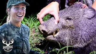 Hunting Javelina in South Texas