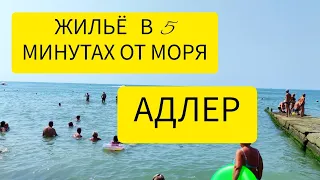 Адлер 2023 🏝 Жильё у моря 🌊 Гостевой дом Рамзес