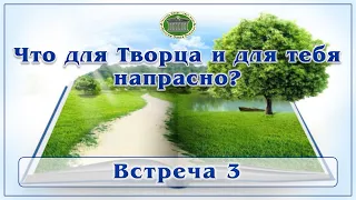 Что для Творца и для тебя напрасно? Встреча 3