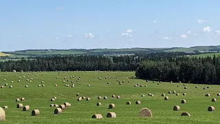 Making Hay - 2022