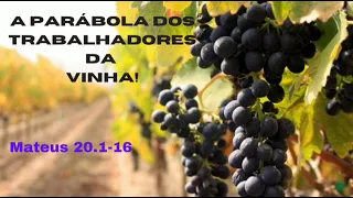 Parábola dos Trabalhadores da Vinha. Pr. Francisco José. #parábolas #jesus #reinodedeus