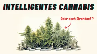 Wie Cannabis Pflanzen die Welt wahrnehmen!