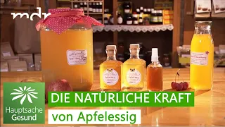 Apfelessig als Heilmittel | Hauptsache gesund | MDR