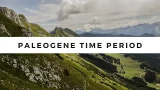 What was life like during the Paleogene Time Period ?