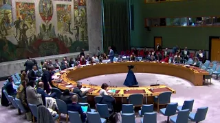 U.S. vetoes U.N. resolution for immediate ceasefire in Gaza