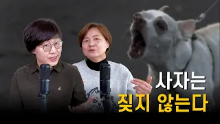 동료가 시도 때도 없이 나를 싫어한다