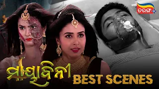 Mayabini | Best Scenes | Mon to Sat at 6:30 PM | Mega Serial | Tarang Plus