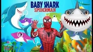 Baby Shark Goes Superhero: Spiderman Sings the Song!