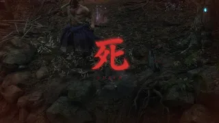 Sekiro: Shadows Die Twice Hitbox Gore