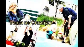 😆 Вначале сажаю потом кайфую 🔥 Жизнь в Турции  #влог #vlog #turkey #istanbul #2022