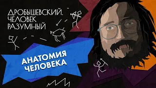 Как эволюционирует человеческое тело // Дробышевский. Человек разумный