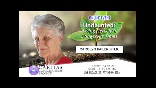 Carolyn Baker, PhD | Undaunted: Living Fiercely in Dangerous Times