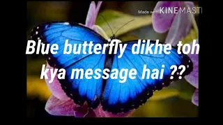 Blue Butterfly Rare Sign From Universe