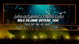 🌟Lily - Alan Walker, Emelie Hollow y K-391 (SUB ESPAÑOL) | Video Original Concierto en Vivo