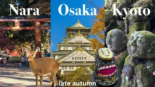 Osaka, Nara, Kyoto/Japan travel vlog/kansai/late autumn/Japanese food/temple/ghibli/park/tofu/matcha