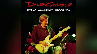 David Gilmour - Live At Hammersmith Odeon 1984