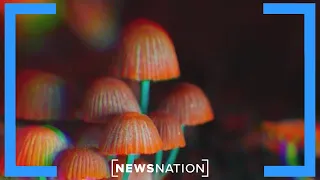 Are psychedelic drugs the future of health care? | Morning in America