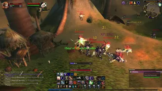 Classic WoW Protection Paladin AOE leveling