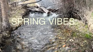 Spring vibes Lofi Music