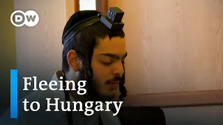 How Jews from Israel are seeking refuge in Hungary | Focus on Europe