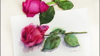 Watercolor Rose Floral for beginner Tutorial/Wet on Wet technique/How to paint