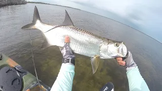 Fly Fishing for Baby Tarpon in the FL Keys Ep81