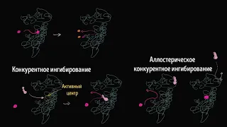 Конкурентное ингибирование ферментов (видео 16)  | Энергия | Биология