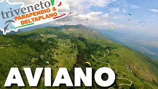 Triveneto Aviano 2023