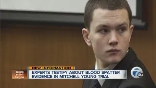 Experts testify about blood spatter evidence in Mitchell Young trial