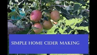 Simple Home Made (Hard) Cider