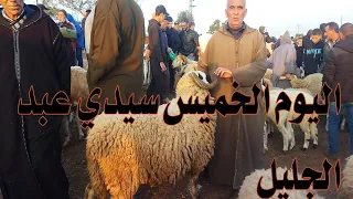 اليوم بسوق الخميس سيدي عبد الجليل الحولي ديال اضحيه العيد 25/05/2023