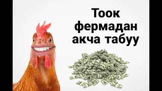 Интернеттен акча табуу 2023. Тоок фермадан акча табуу 🤑🤑