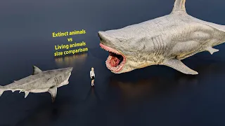 Extinct animals vs living animals size comparison 3D Animation