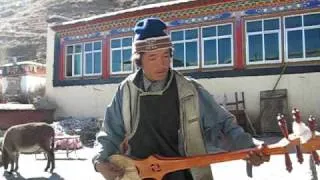 Young Tibetan Musician