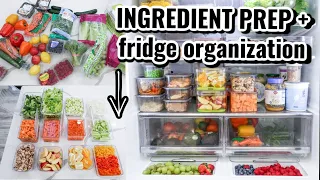*NEW* MEAL PREP with me: INGREDIENT PREP + fridge organization