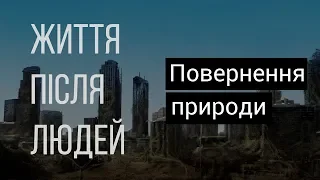 Життя після людей. Повернення природи - українською | Докфільм HD