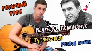 Наутилус Помпилиус - Тутанхамон ♫РАЗБОР,АККОРДЫ♫ Уроки игры на гитаре