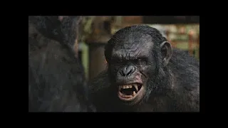 Caesar vs Koba | Dawn of the Planet of the Apes (2014)#LOWI