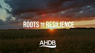 Roots to Resilience – What’s in it for Farmers?