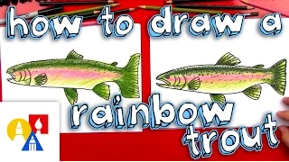 How To Draw A Rainbow Trout