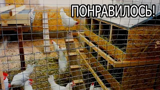 ДЕЛАЮ НАСЕСТ, ГНЕЗДА ДЛЯ ПТИЦЫ.