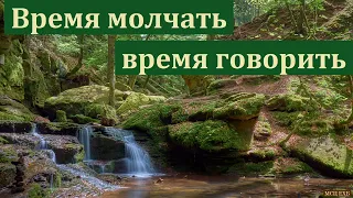 "Время молчать и время говорить". Ю. Шаменков. МСЦ ЕХБ