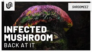 Infected Mushroom - Back At It