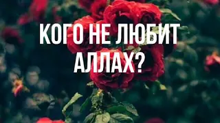 Кого не любит Аллах?