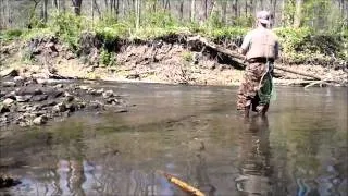 North Bear Creek (IA) trout fishing