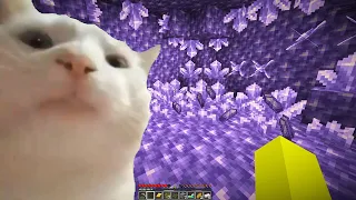 CAT VIBING IN MINECRAFT MEME COMPILATION PART 2