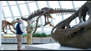 Do Dinosaurs Show Evidence of Design? - Dr. Marcus Ross