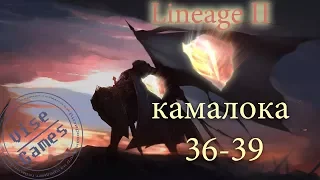 Lineage 2 36 и 39 камалока